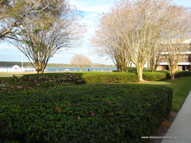 View of Beach and Bay Lake