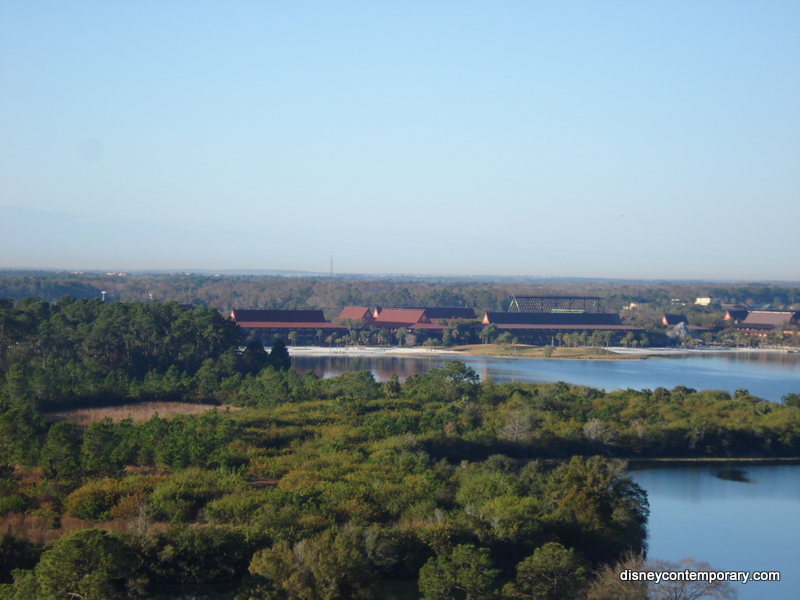 Polynesian View