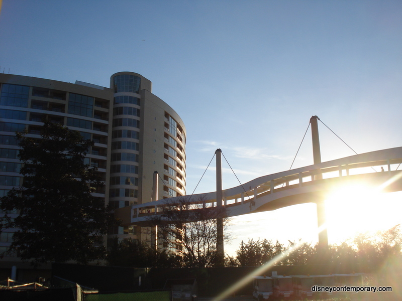 Tower and Sky Bridge